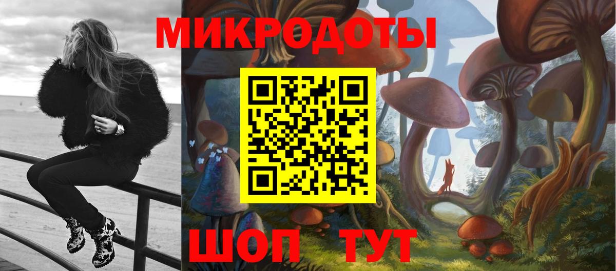 Карачаевск  Псилоцибиновые грибы ЛСД  Вход с VPN 